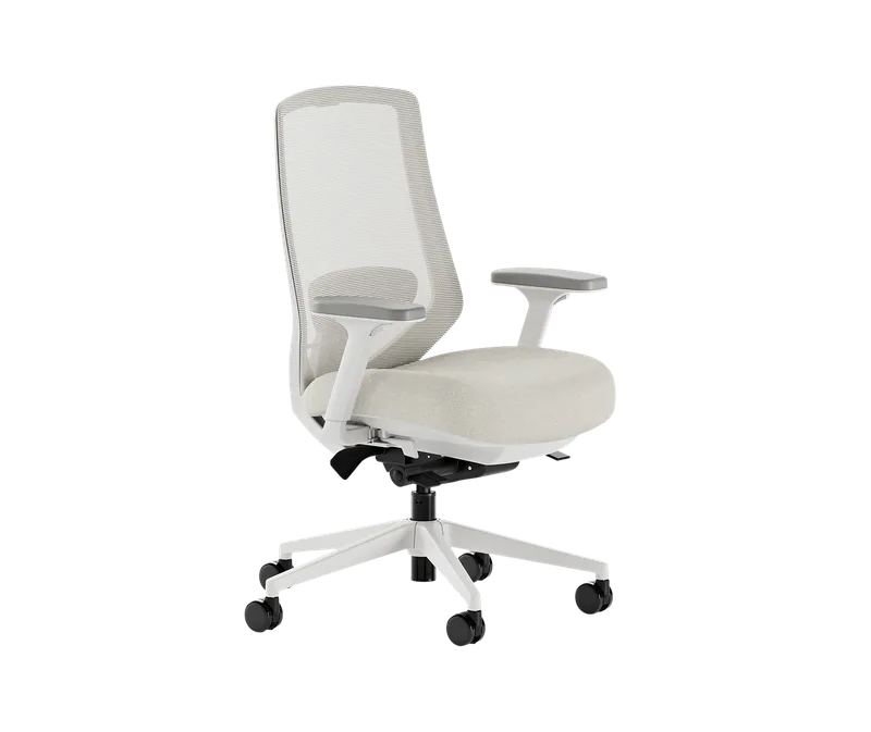Ergonomic Chair Pro
